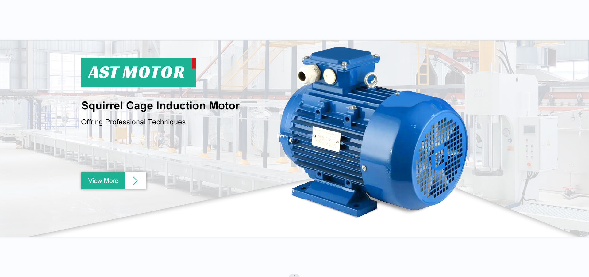 quality 3 Phase Asynchronous Motor factory